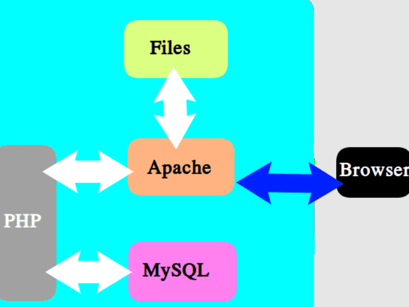 Cover image for install and setup a LAMP/LEMP Stack