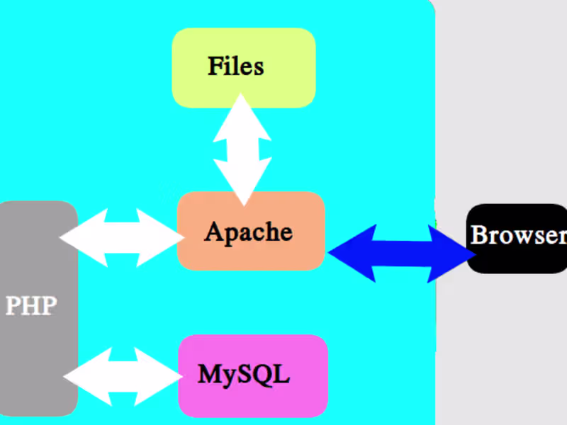 Cover image for install and setup a LAMP/LEMP Stack