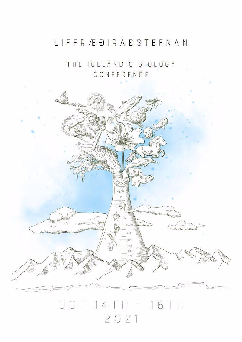Cover image for Adaptive Editorial Illustrations