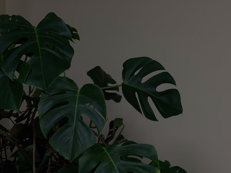 Cover image for Creative Content ,Strategic Hashtag Management,quality videos 