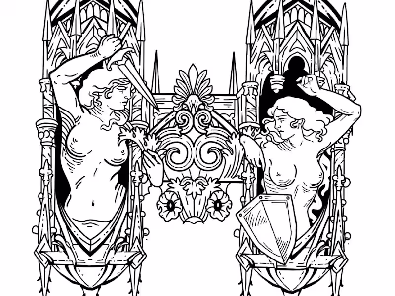 Cover image for Custom Illustration for client