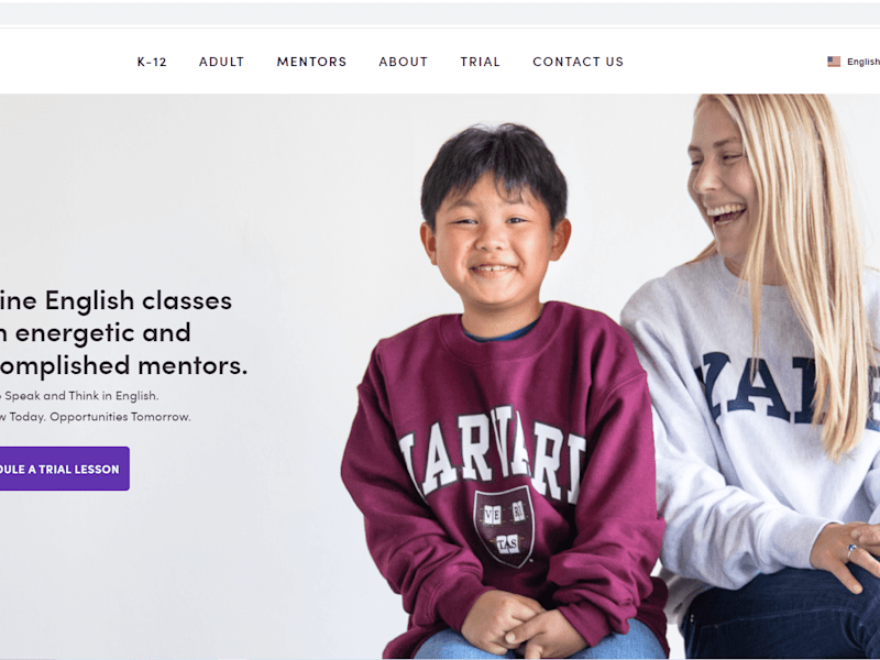 Cover image for Web Designer
