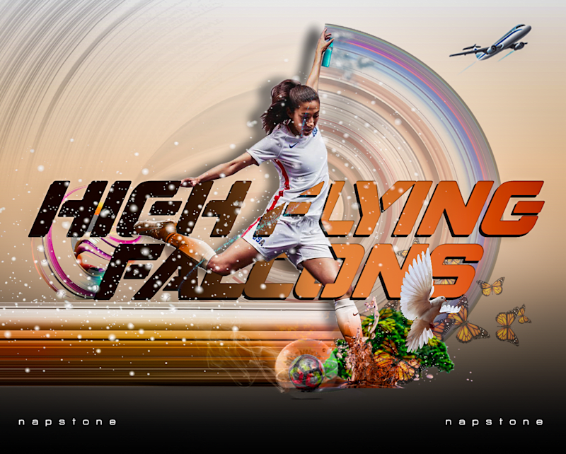 Cover image for High Flying Falcons