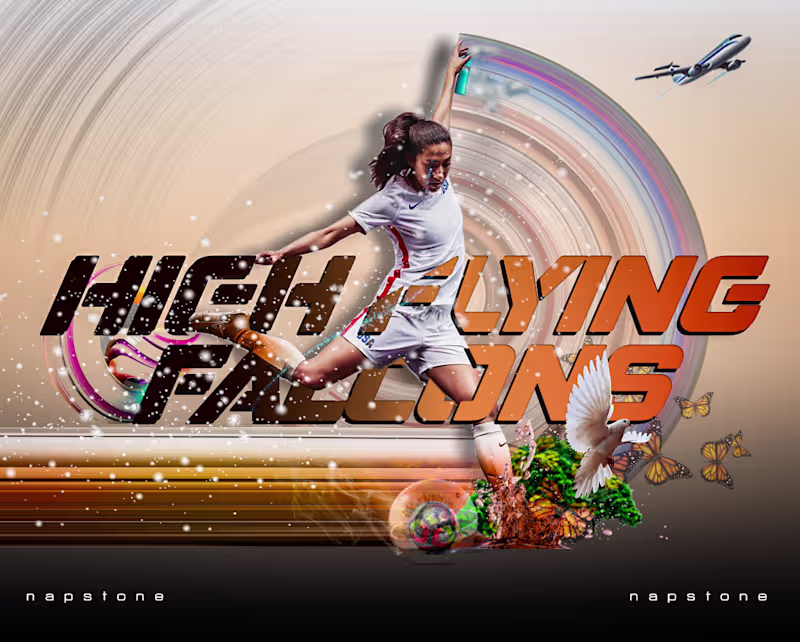 Cover image for High Flying Falcons