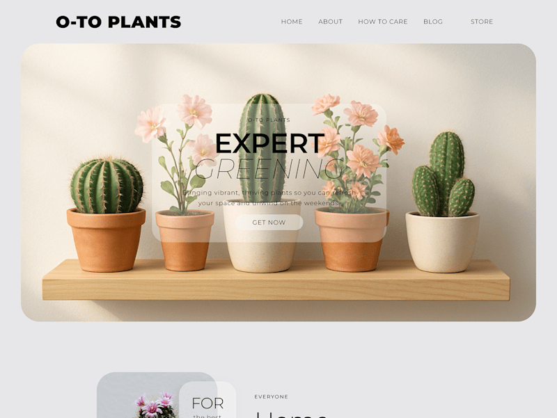 Cover image for 🌵 Plant Shop O-TO | Figma Design & Webflow Development