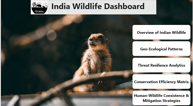 Cover image for Wildlife Dashboard