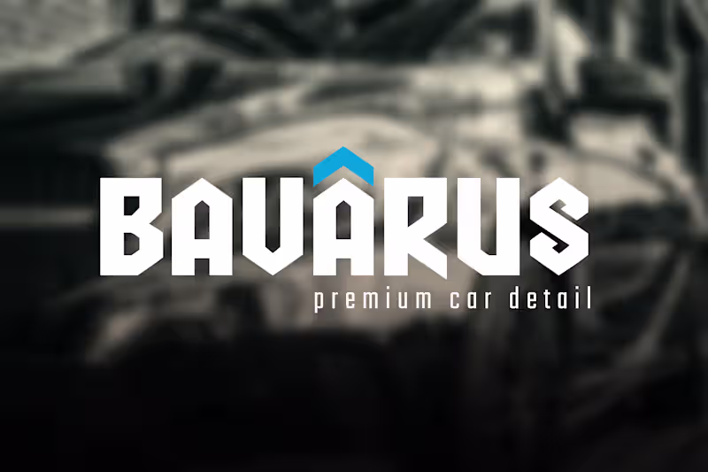 Cover image for Bavarus | Naming & Logo Design