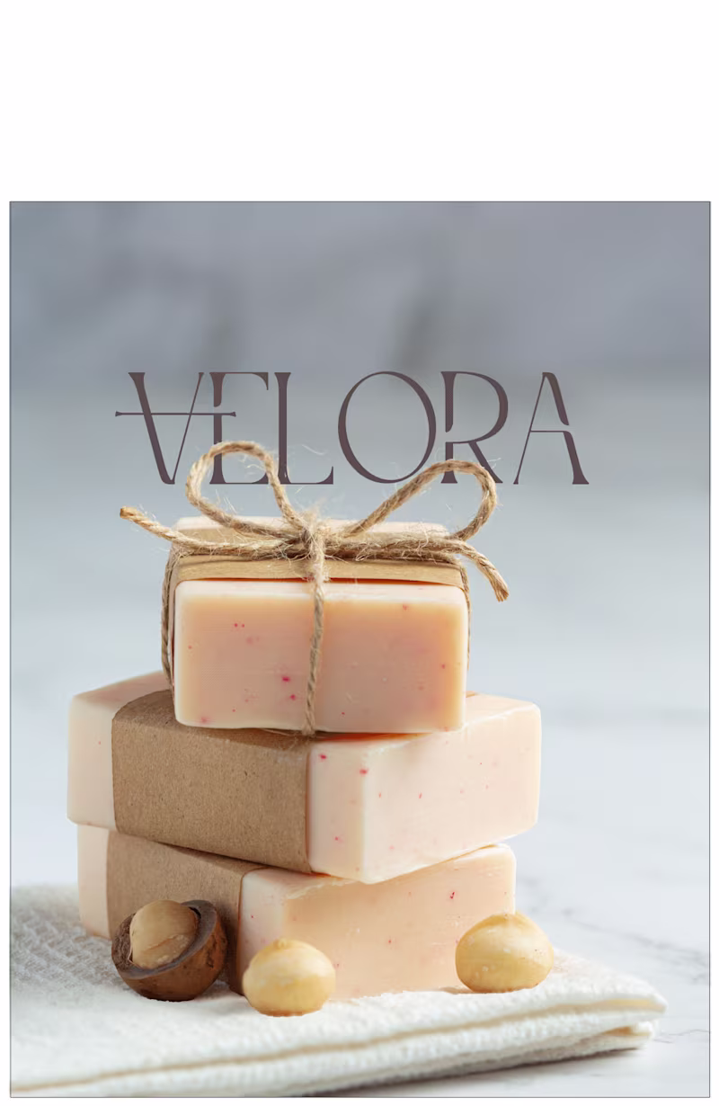 Cover image for Velora | Brand Identity