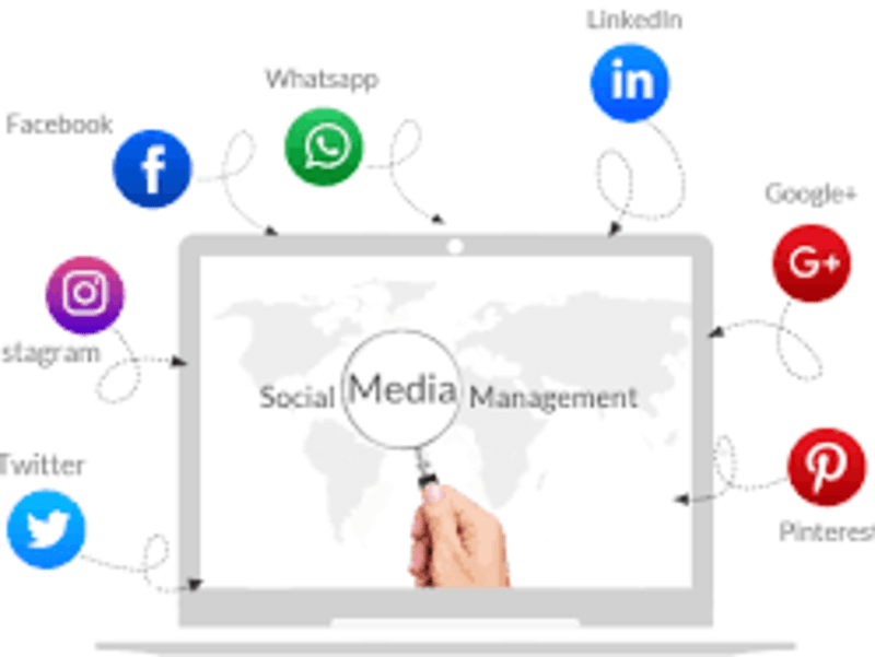 Cover image for  Boost Growth with Our Expert Social Media Management Services