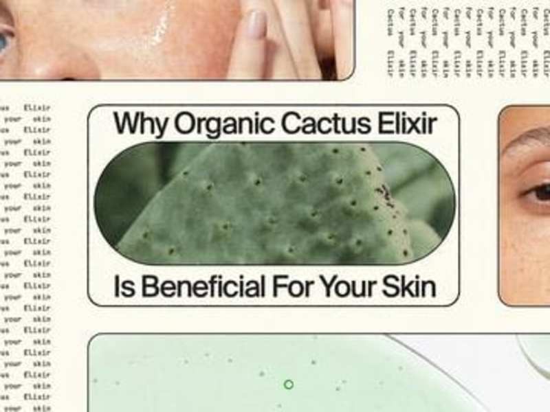 Cover image for [Meet The Muse] Organic Cactus Elixir