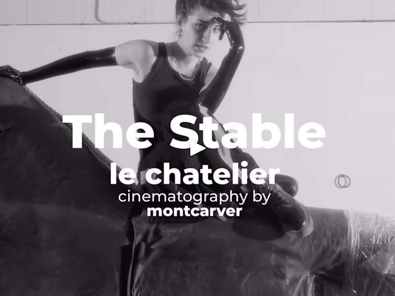 Cover image for The Stable Music Video