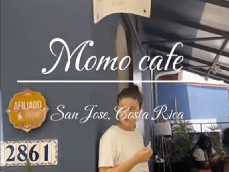 Cover image for MoMa Cafe Highlight Reel