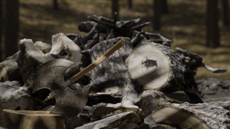 Cover image for Forgotten Weaponries