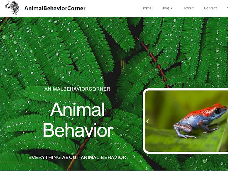 Cover image for Home - AnimalBehaviorCorner