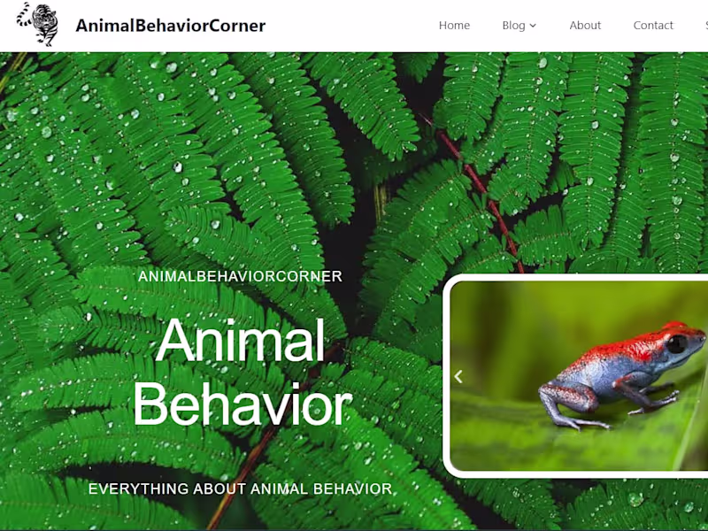 Cover image for Home - AnimalBehaviorCorner