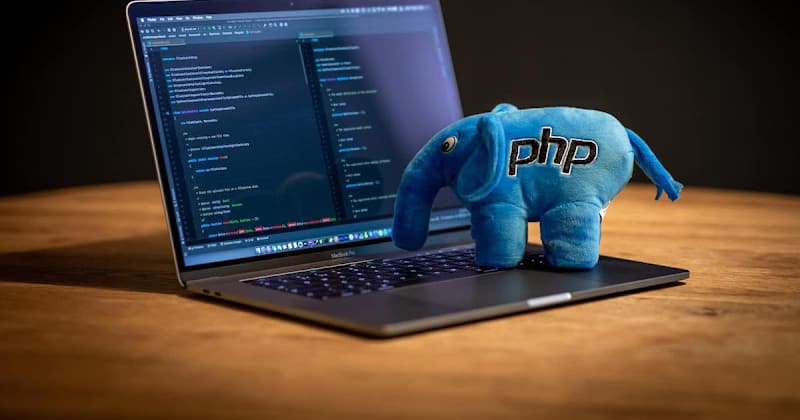 Cover image for Best Languages to Learn for Web Development