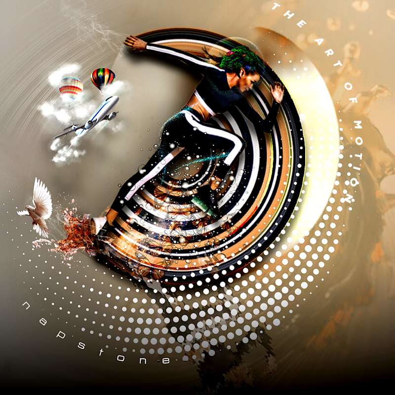 Cover image for The Art of Motion