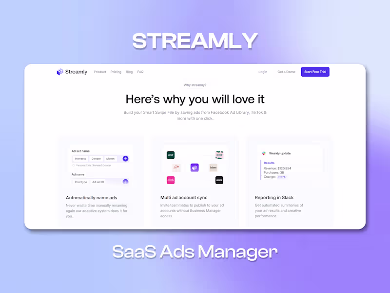Cover image for Streamly SaaS Platform Development