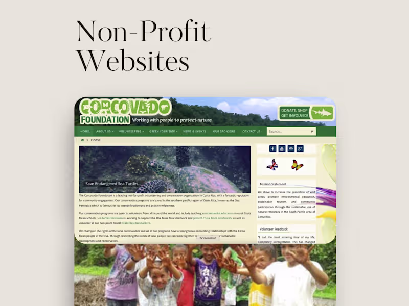 Cover image for Corcovado Foundation Website Development