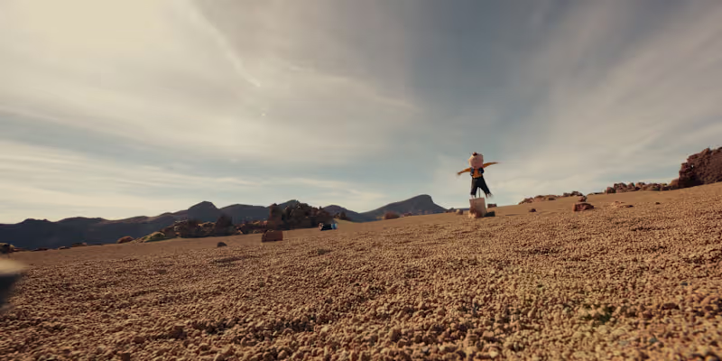 Cover image for WILD WEST
