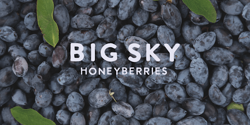 Cover image for Big Sky Honeyberries | Brand Strategy and Execution