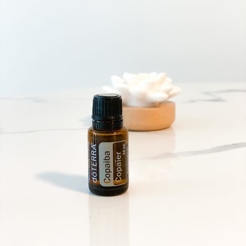 Cover image for A Tree Resin Found in South America: Copaiba Is the Long-Used T…