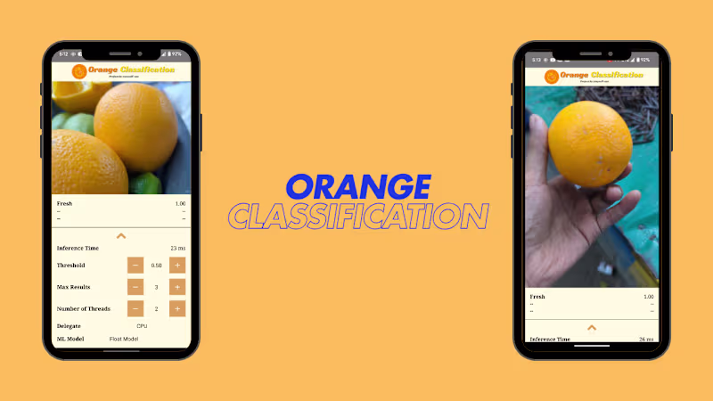 Cover image for Orange Classification Android App: Real-Time Fruit Classificati…