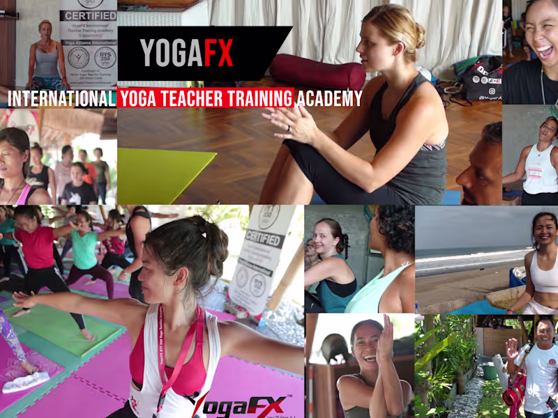 Cover image for Designer