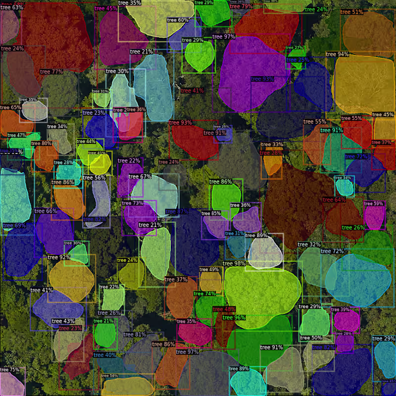 Cover image for 🌳 Tree Crown Detection, Done Right We built an AI system th...