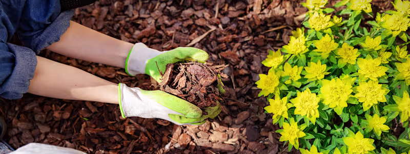 Cover image for The Benefits of Organic Mulch for Landscaping