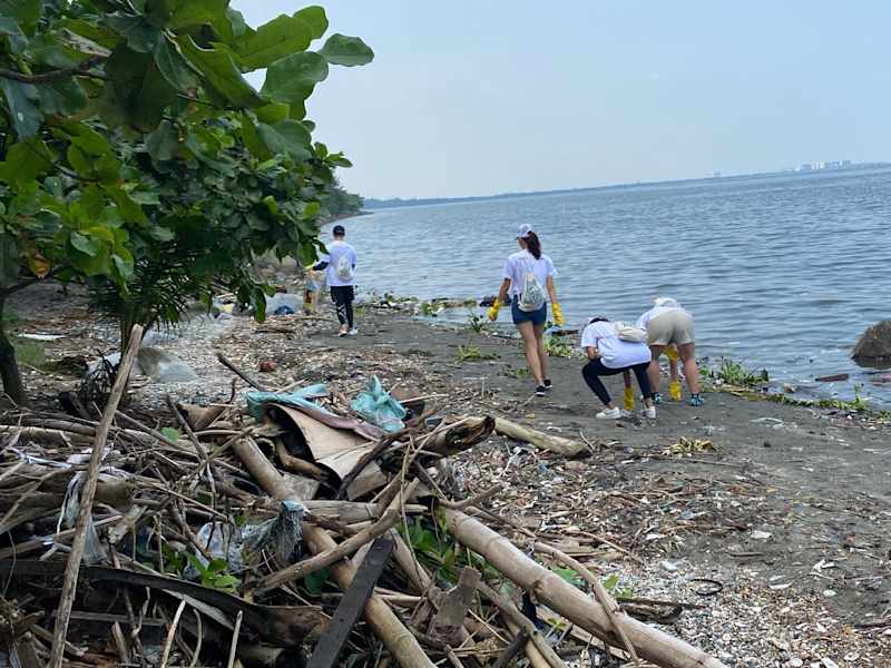 Cover image for Coastal Clean-up
