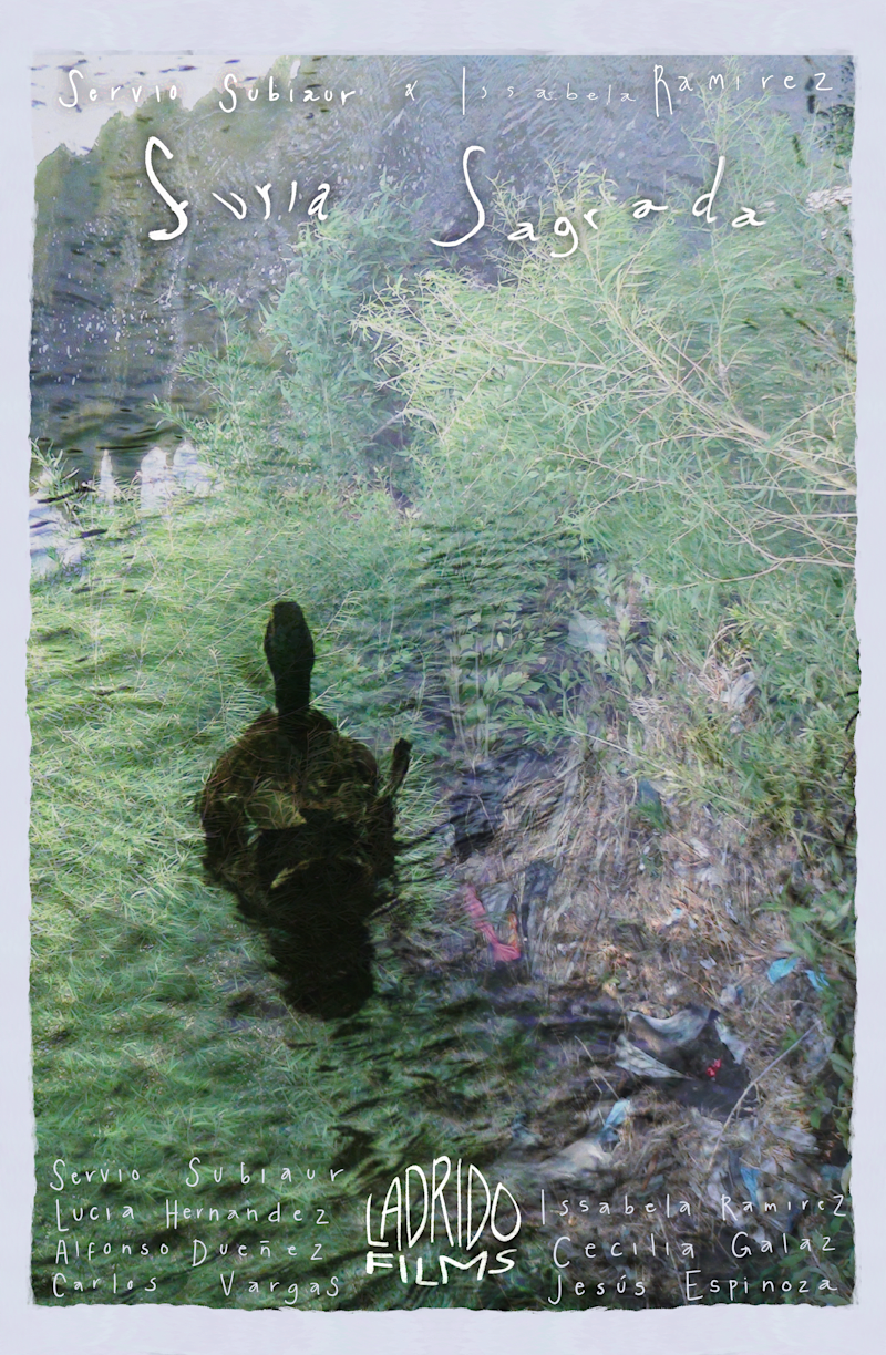Cover image for Short film poster