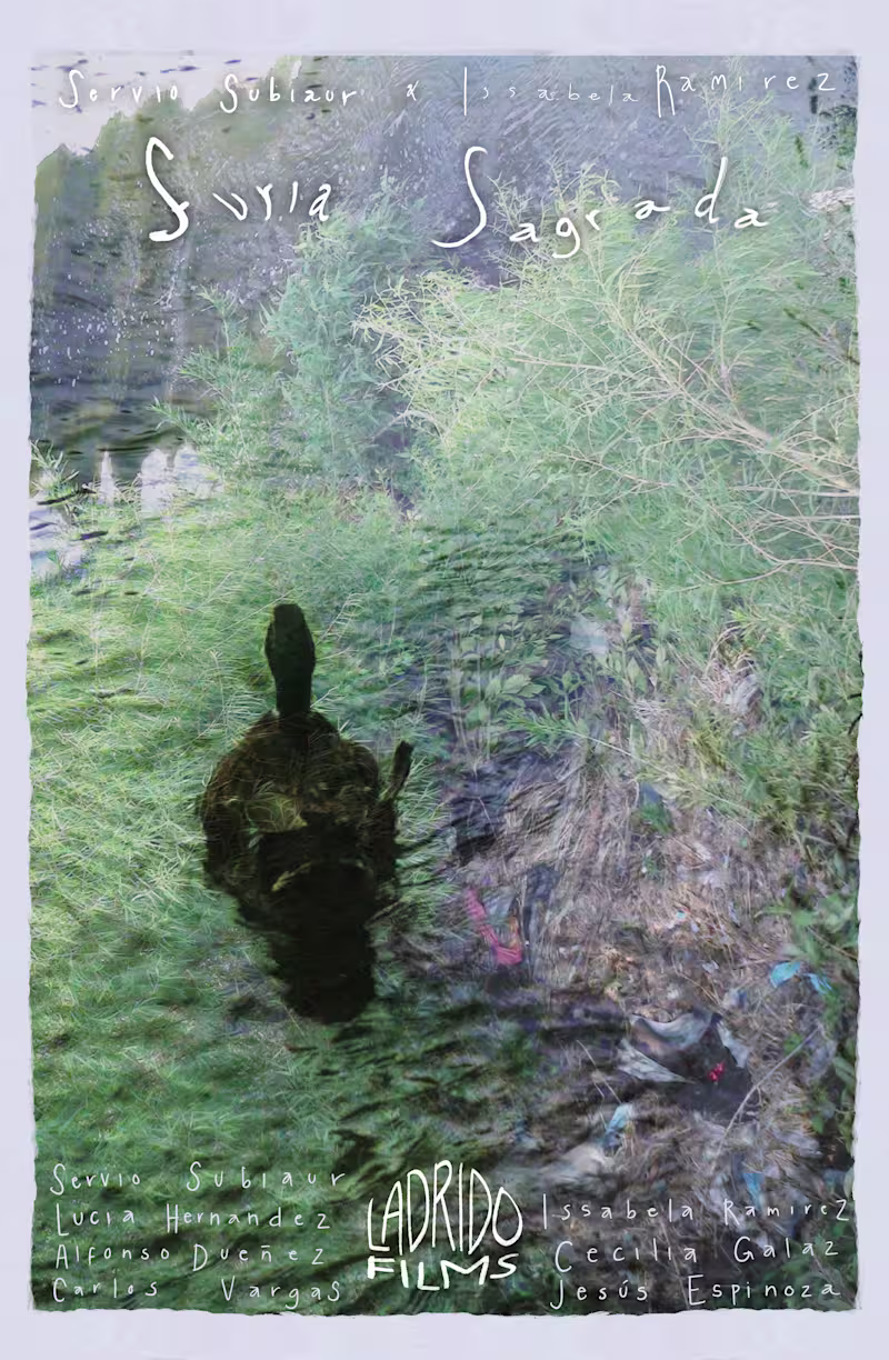 Cover image for Short film poster