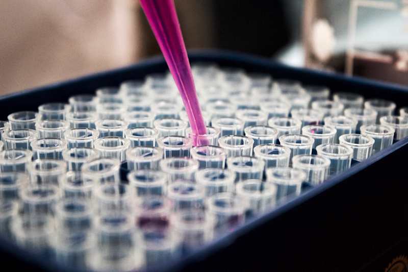 Cover image for What are the most common types of cancer in the UK?
