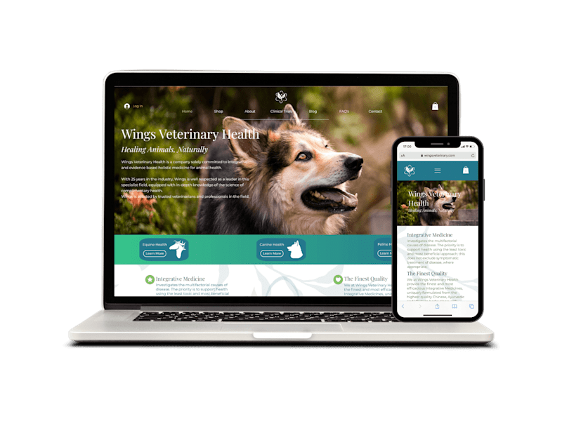 Cover image for Bespoke and Intuitively Designed Websites (2D/3D)