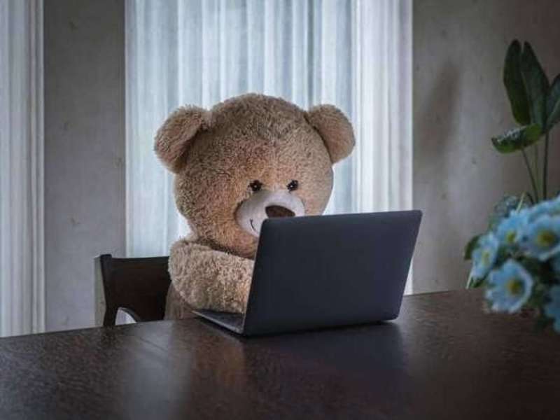 Cover image for Chat Support Agent