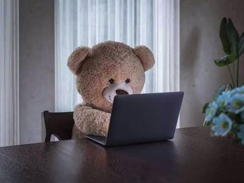Cover image for Chat Support Agent