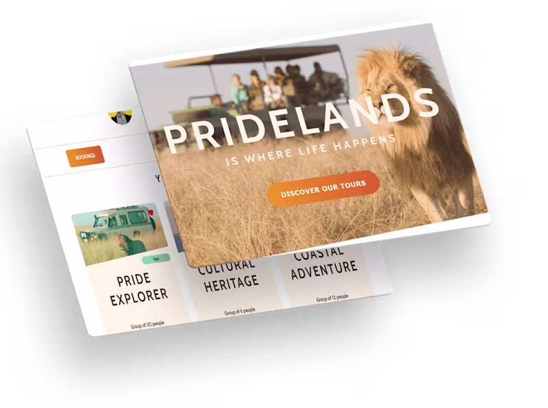 Cover image for Website for Booking Safari Tours 