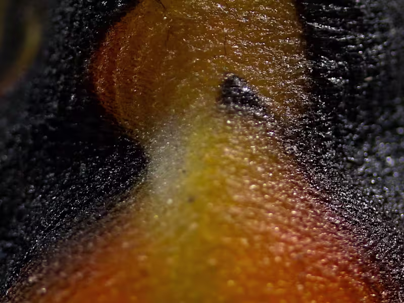 Cover image for 3D Visualisation