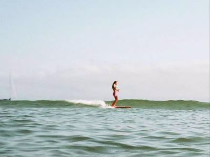 Cover image for Social Media Management 