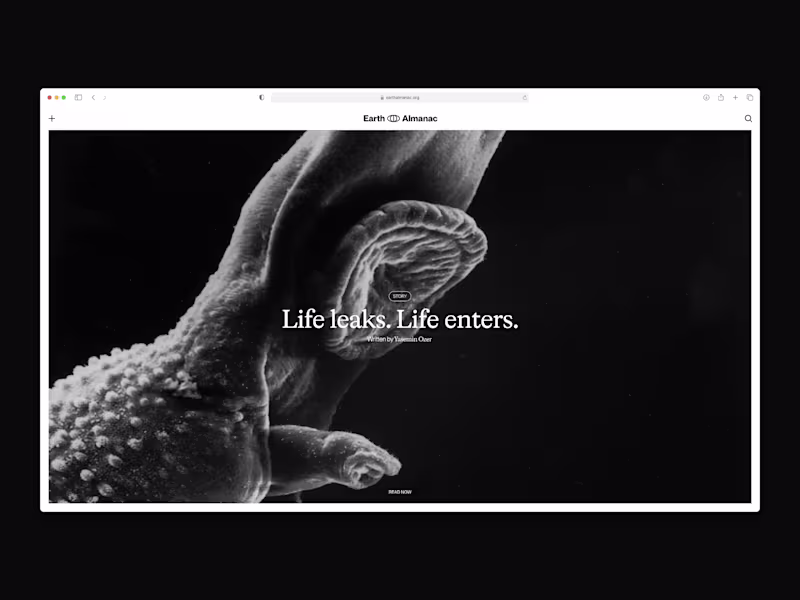 Cover image for Earth Almanac