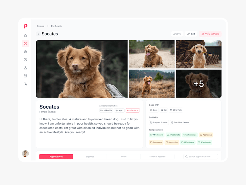 Cover image for PawPlace - Pet Profile Dashboard UI UX Design