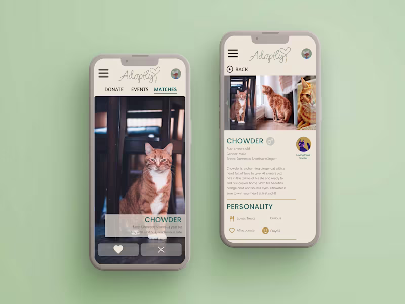 Cover image for Figma UI/UX Design