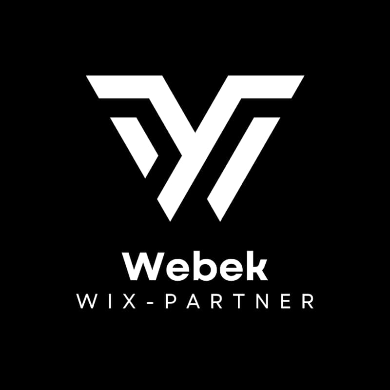 Cover image for Portal Home - WEBEK LTD