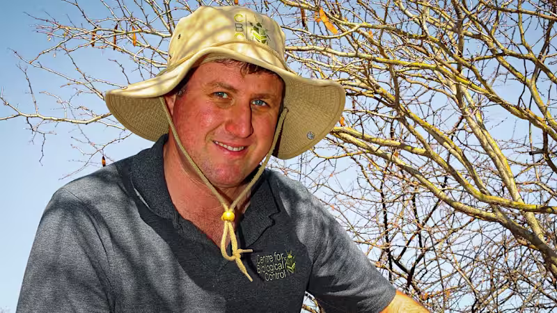 Cover image for Zoology and Entomology delve deep into the biological control o…