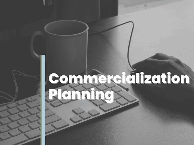 Cover image for Start-Up Commercialization Planning