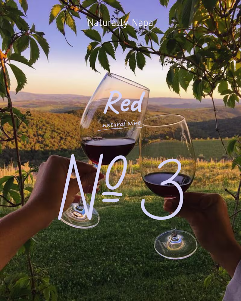 Cover image for Naturally Napa