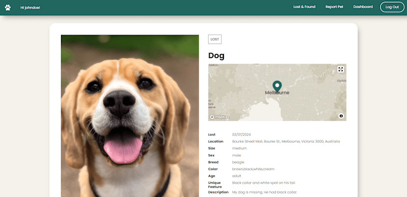 Cover image for Lost and Found Application