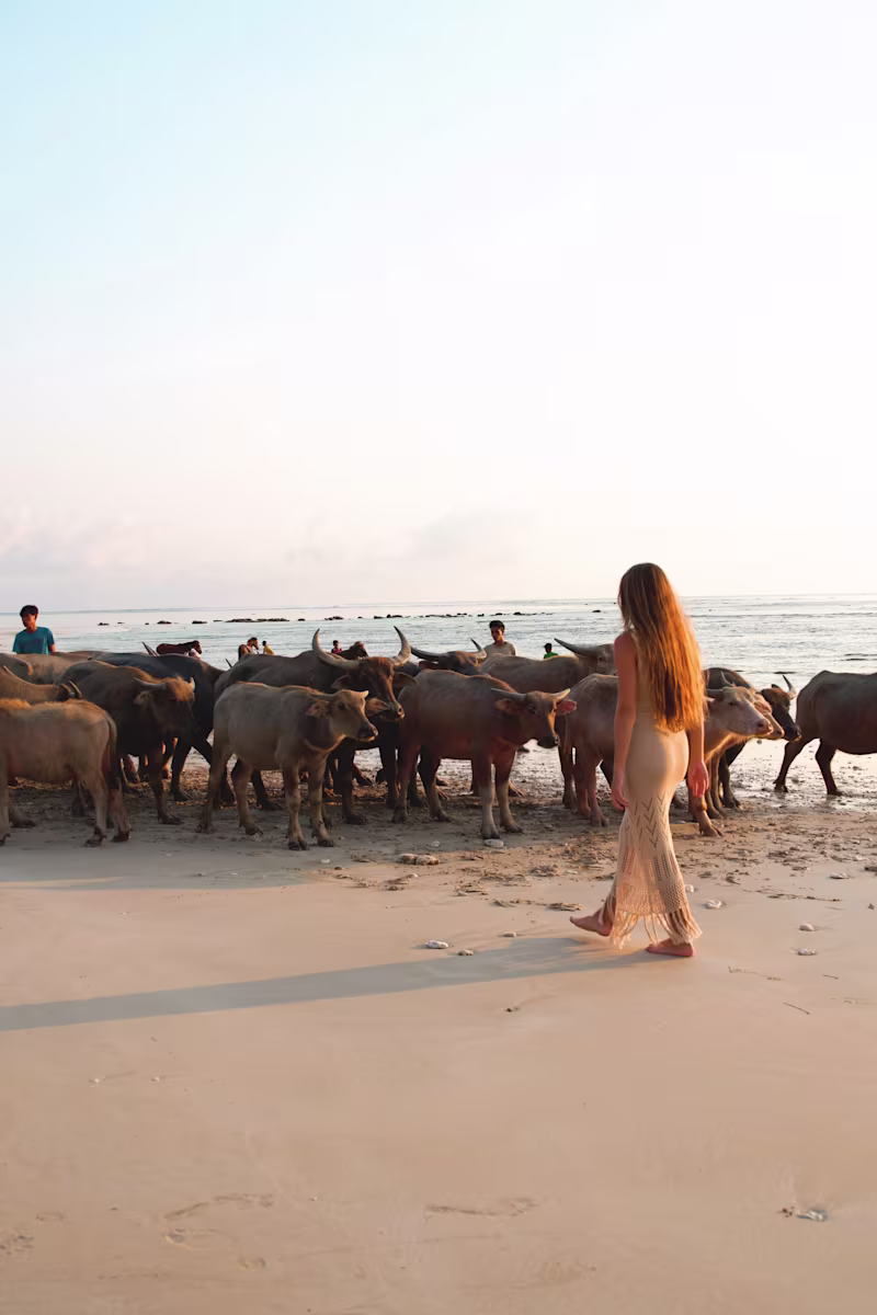 Cover image for I collaborated with a media