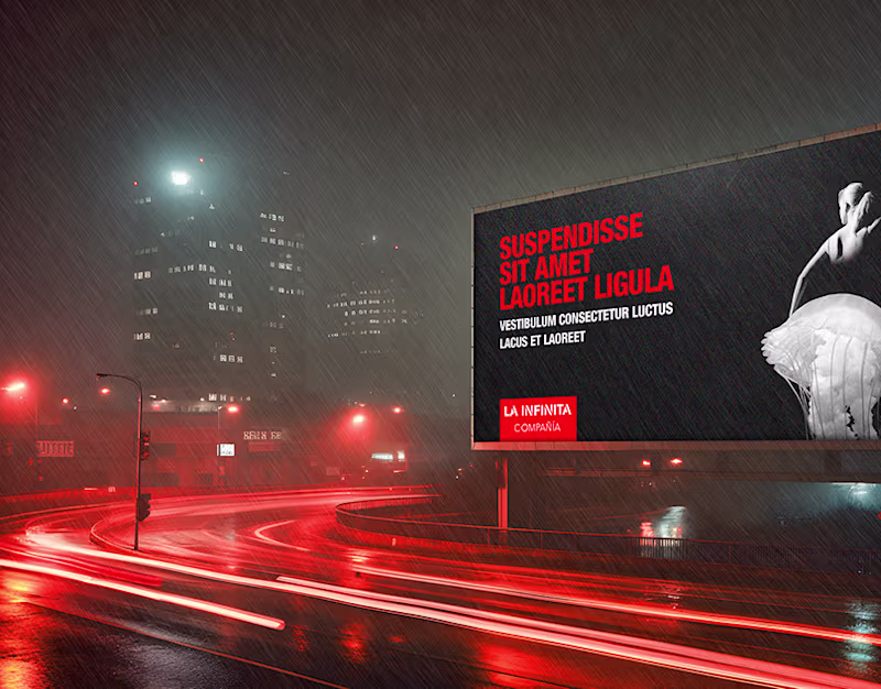 Cover image for LA INFINITA COMPAÑÍA